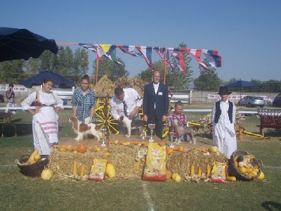 des hauts blavets - Championnat Serbie 2012