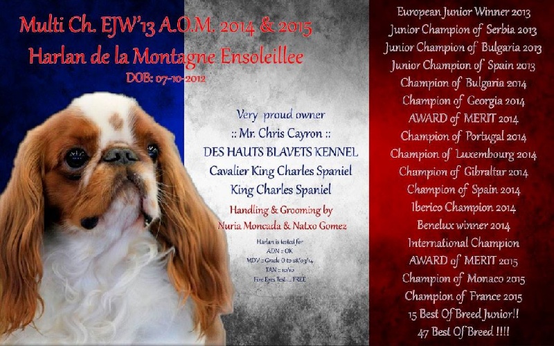 CH. Harlan De la montagne ensoleillee