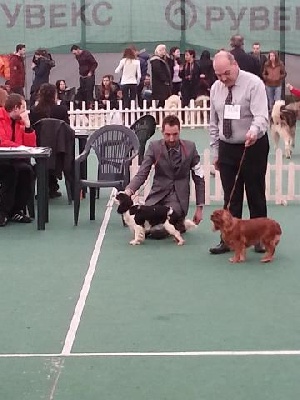 des hauts blavets - Championnat Bulgarie Sofia 2013